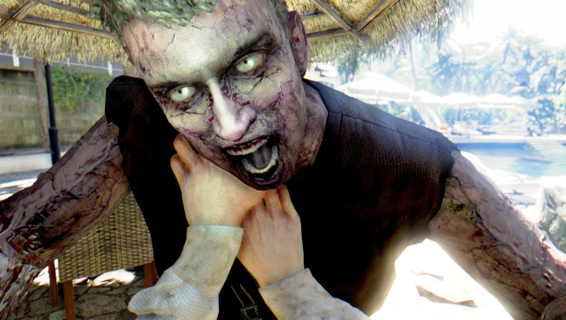 Dead Island Definitive Collection - Imagen 17